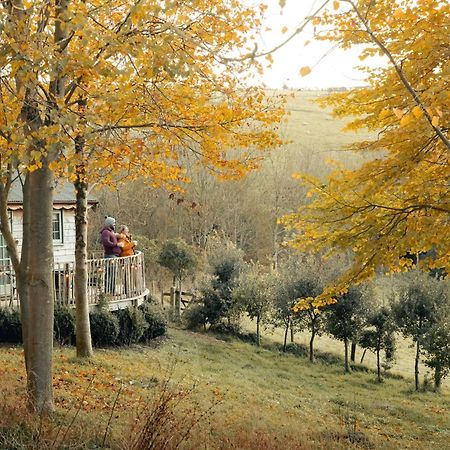 Cottage Orne Long Bredy Exterior foto